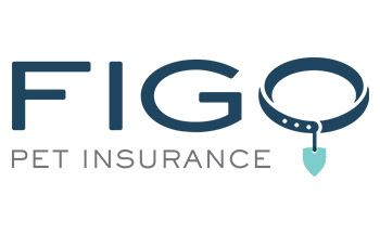FIGO Insurance Company DeBree & Associates Insurance