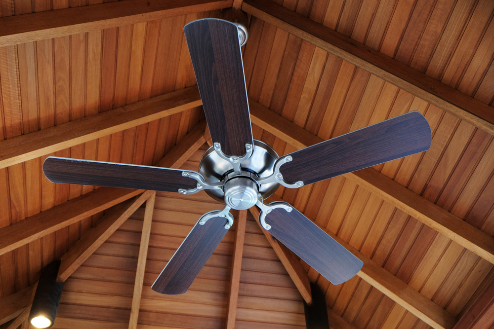 Ceiling,Fan,,Indoors